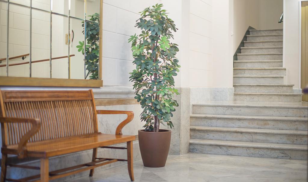 Anakena House Bed & Breakfast Barcelona Eksteriør bilde